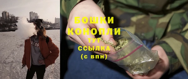 apvp Вяземский